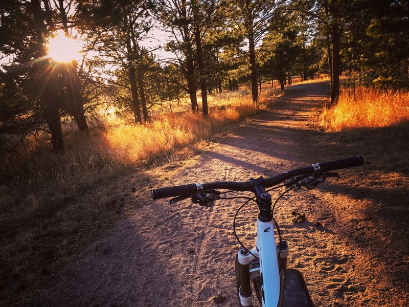 Experience beautiful golden light when you ride at dusk.