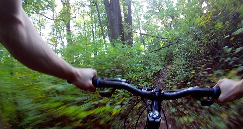 There's really nice flow on this part of the Boone Trail.