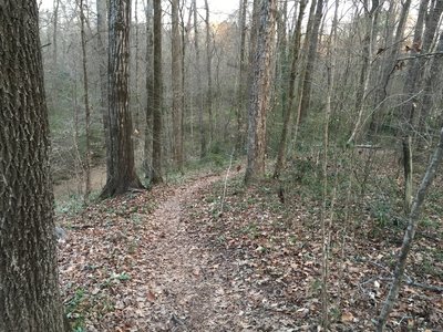 Up on the ridge above the river, the climbing and switchbacks are the best part of the trail.