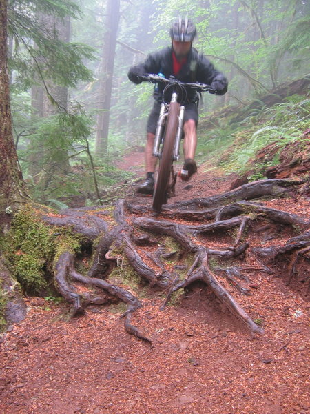 A rider navigates a slippery root section on the North Ridge Trail.