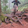 A rider navigates a slippery root section on the North Ridge Trail.