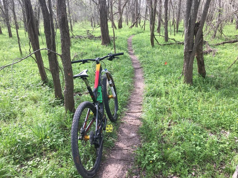 Expect narrow singletrack on Barbed Wire.