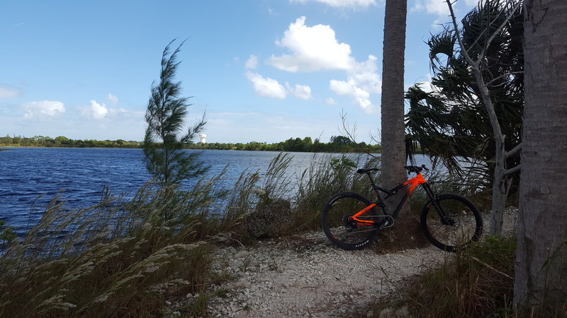 Enjoy great views of the water all along this trail.