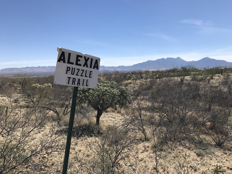 Expect twisty-turny singletrack in the West Desert Trails' northern sector.