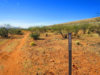 The Green Valley-South Desert Trails offer buff singletrack through Tucson's pleasant desert landscape.