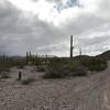 Scree-covered doubletrack is the name of the game on NAFTA.