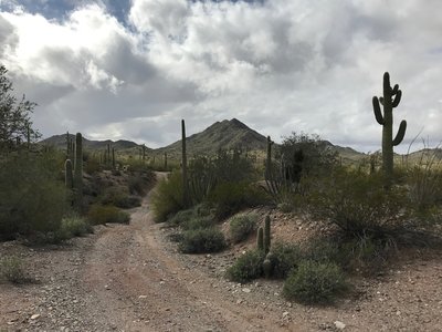 NAFTA makes its way in and out of plenty of washes.