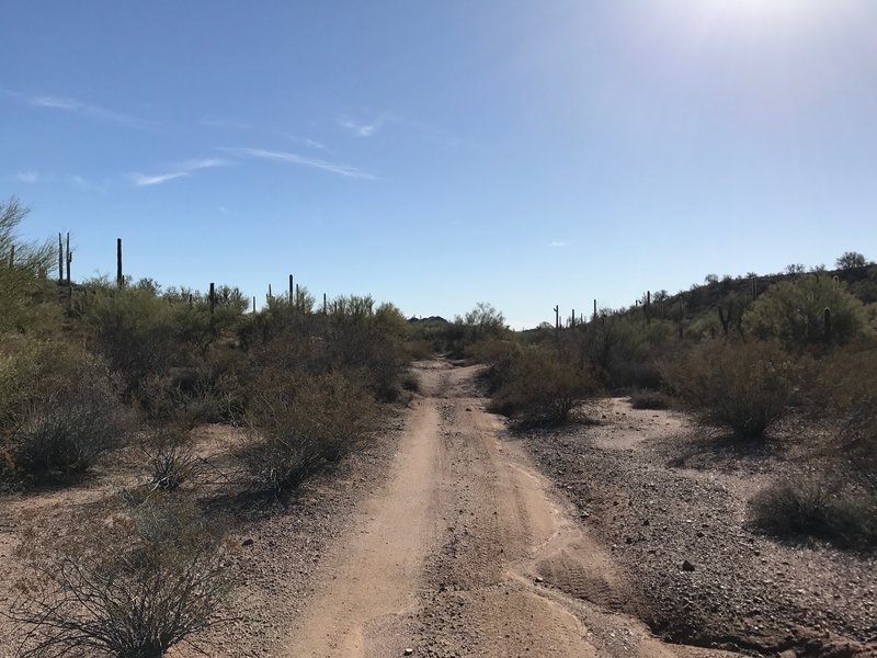 Locomotive Rock offers pleasant doubletrack on its way out to its namesake rock formation.