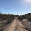 Locomotive Rock offers pleasant doubletrack on its way out to its namesake rock formation.