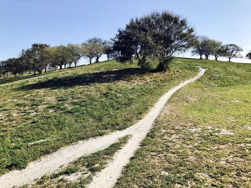 The descent down the southwest side of the hill is pretty mellow.