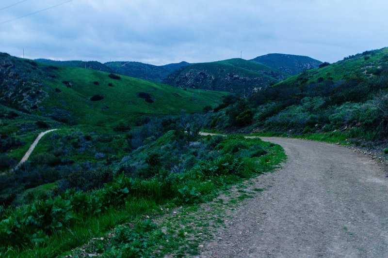The light began to fade as I headed down into El Moro Canyon.