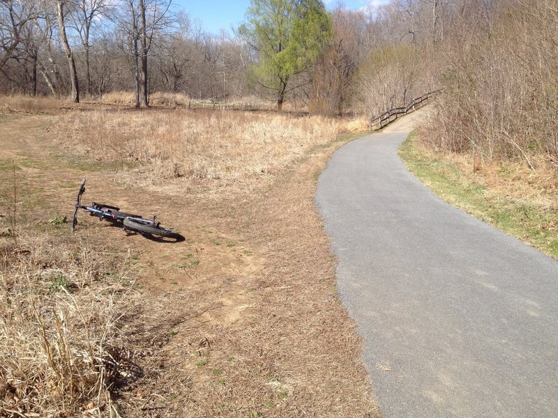 This is the turnoff from the Cart Path Connector onto the Ridge to River Trail. If you start going up a big hill, you went too far!