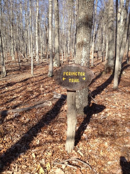 At the end of Grand Boulevard, you'll see the Perimeter Trail sign and the white-blaze stars. Turn left.