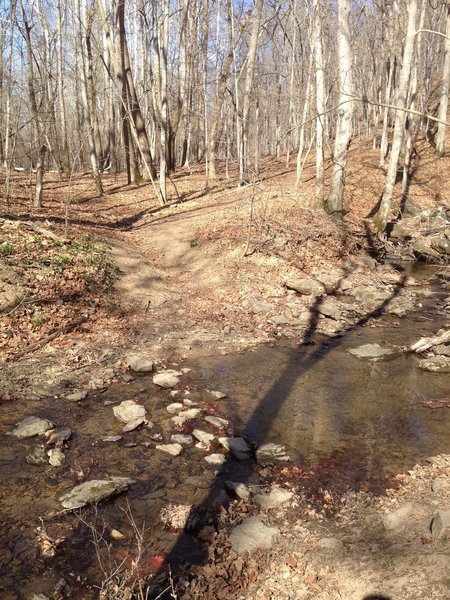 This stream crossing is rideable and a fun challenge because it is steep and slick.