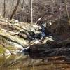 A waterfall cascades above the crossing over Rocky Branch. There is a trail that goes upstream to explore more.