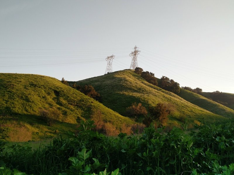 Towers stand in the distance along the South Ridge Trail.