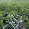 At least if you fall along the South Ridge Trail, it will be into soft green plants!