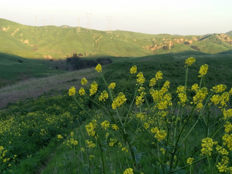 The sun sets over Chino Hills State Park and the South Ridge Trail.