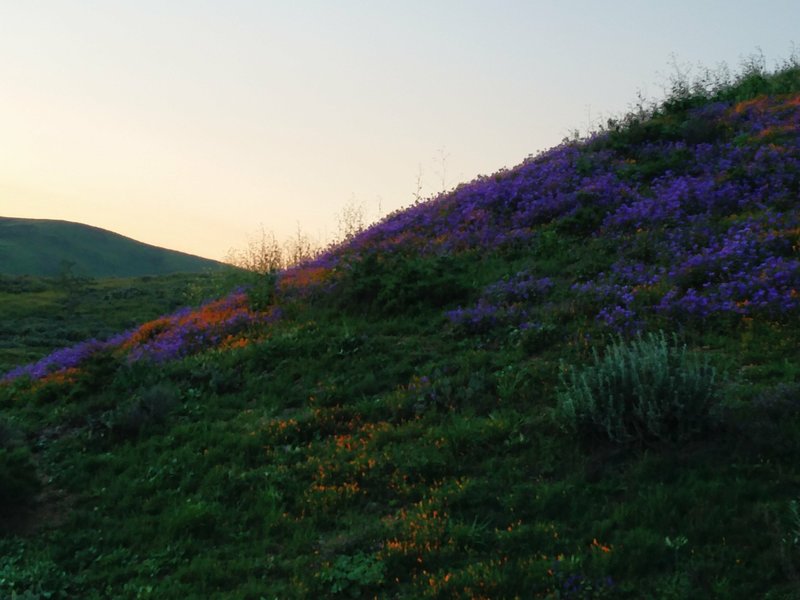 The sun sets over the day's final scene in Chino Hills State Park.