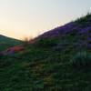 The sun sets over the day's final scene in Chino Hills State Park.