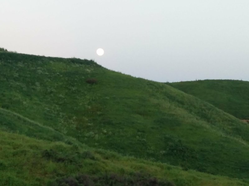 A full moon climbs above the ridgeline along the South Ridge Trail.