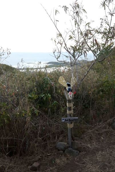 The Jack Spania Totem stands alongside the trail.