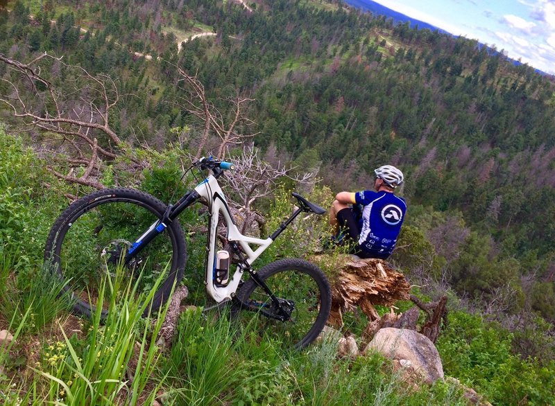 Take in the views from this fallen tree on the Grindstone Ridge Connector.