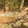 The Summit Loop is fun in either direction. This is the switchback at the 'real' scenic overlook.