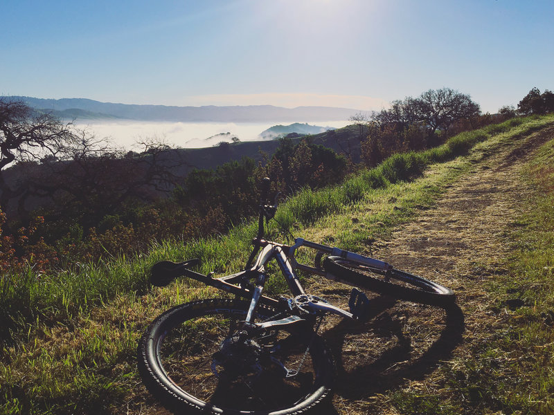 Riding above the fog, the hills take on an entirely different character.