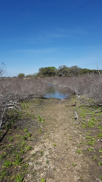 Sometimes the area's trails can be flooded after heavy rains.