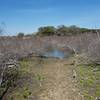 Sometimes the area's trails can be flooded after heavy rains.