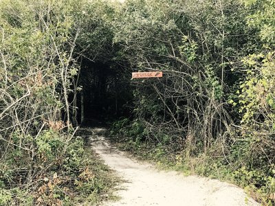 This is the entrance to the Jurassick segment of the West Delray Trail.