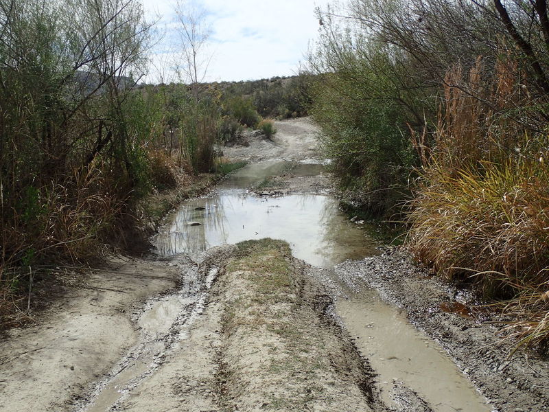 Beware of standing water near Glenn Spring on Black Gap Road.