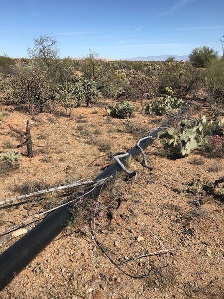 Numerous big black water pipes exist on Trail 306C.