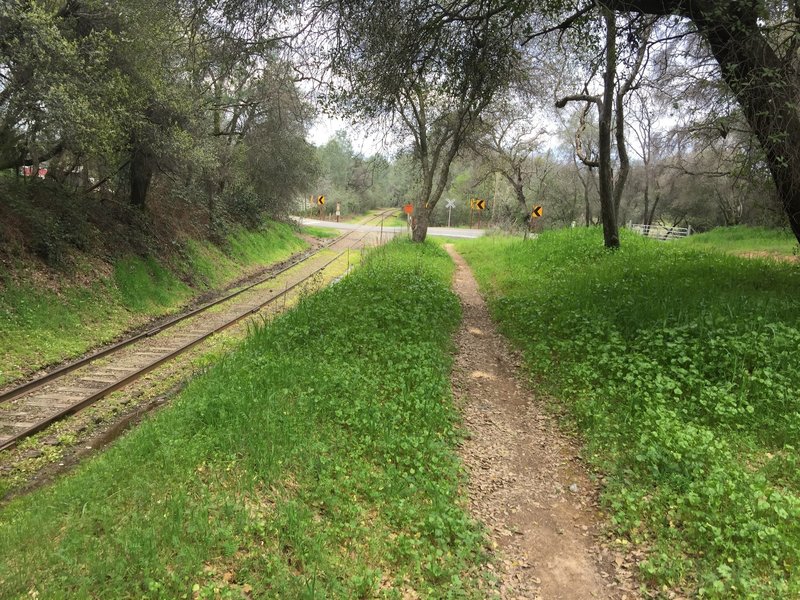 A nice singletrack section of the El Dorado Trail parallels right next to the tracks.