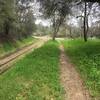 A nice singletrack section of the El Dorado Trail parallels right next to the tracks.