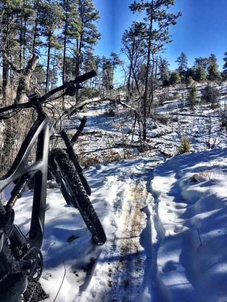 Honeybucket can still be rideable in the snow.