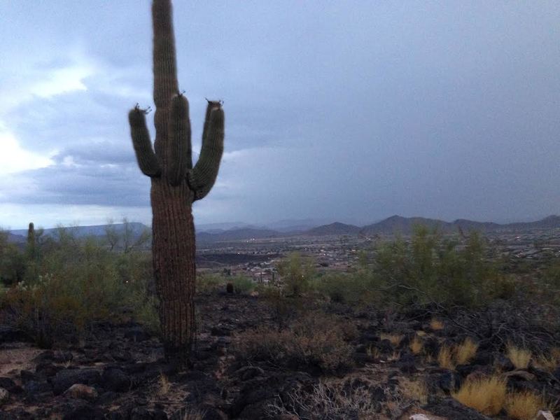 Rain brews over the valley from the trail.