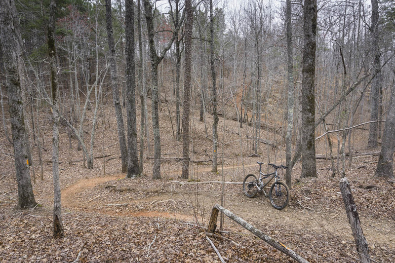 Singletrack is bliss on the Orange Trail.