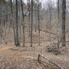 Singletrack is bliss on the Orange Trail.