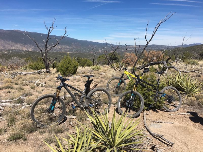 A burn scar remains at the top of Birdhouse Ridge.