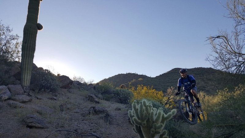 Hawes offers gorgeous riding through Sonoran Desert terrain and flora. Watch out for cacti and cholla!