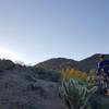 Hawes offers gorgeous riding through Sonoran Desert terrain and flora. Watch out for cacti and cholla!