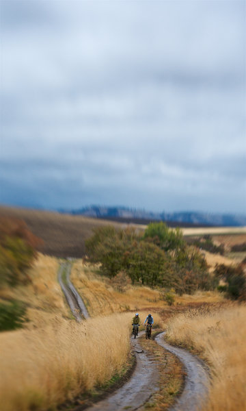 A pair of riders tackles a wet, cold, autumn ride on the Whitetail Trail near Bennington Lake.