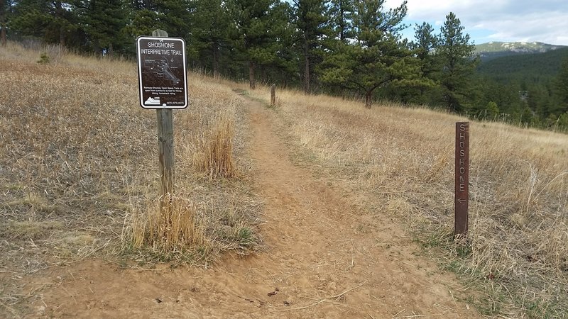 One of the Shoshone trailheads is located across the dam.