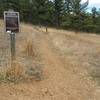 One of the Shoshone trailheads is located across the dam.