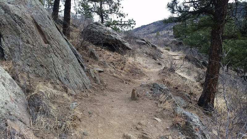The Shoshone Trail can be tight and rocky in spots.