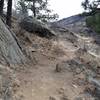 The Shoshone Trail can be tight and rocky in spots.