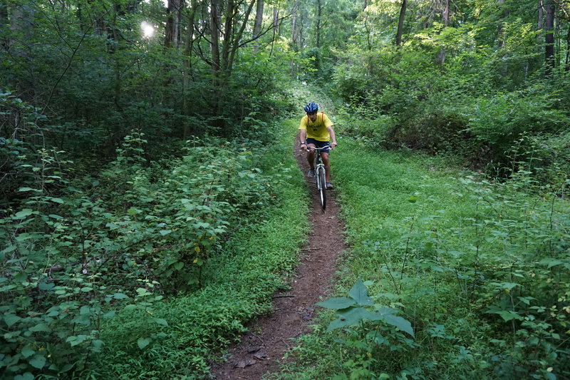 White's Mill offers fun downhill sections!