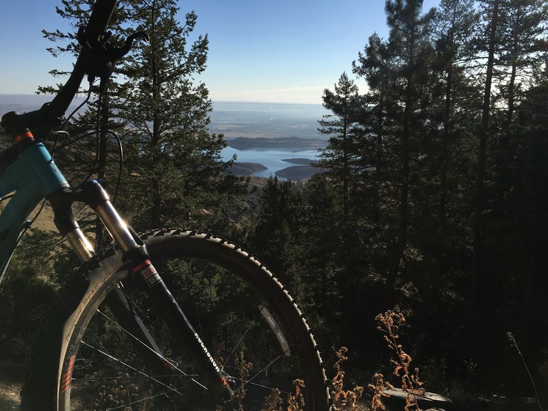 The scenery is awesome on upper Timber Trail, but you better get off your bike first before looking at it.